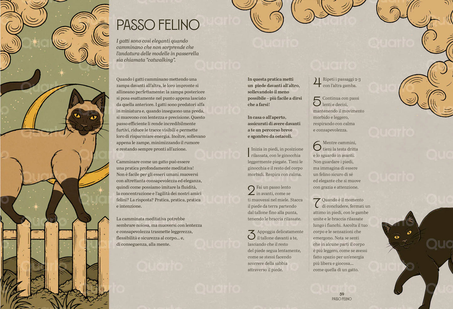 GATTI ZEN - Guida felina alla meditazione