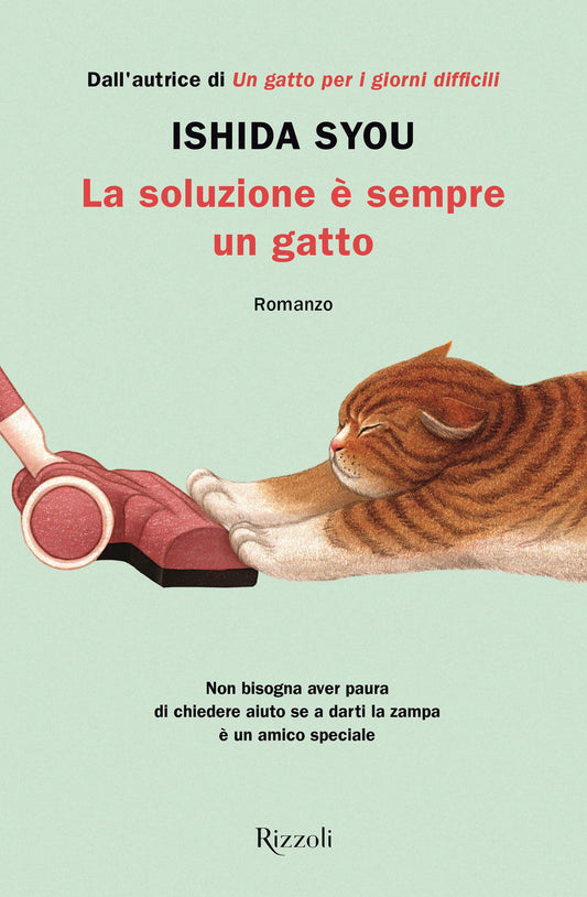 LA SOLUZIONE è SEMPRE UN GATTO