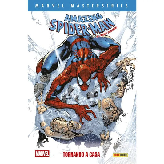 Marvel Masterseries – Spider-Man: Tornando a Casa