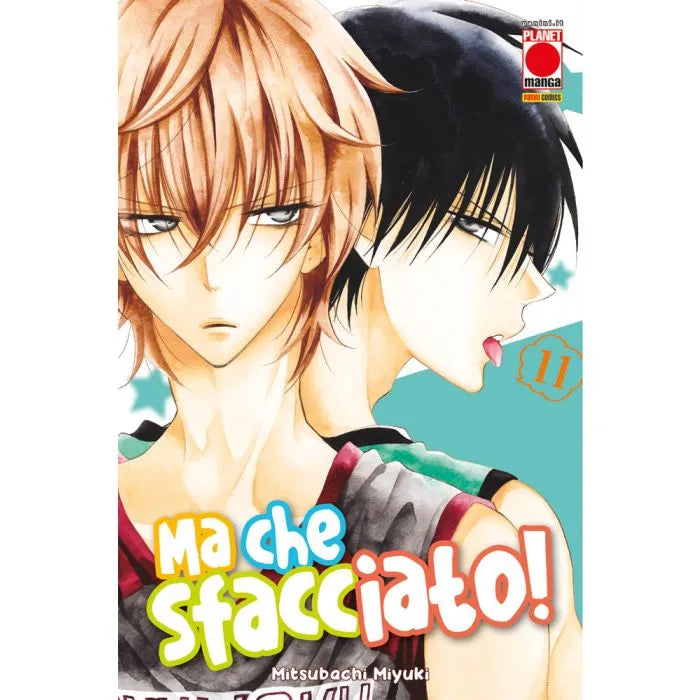 NAMAIKIZAKARI - MA CHE SFACCIATO ! VOL.11