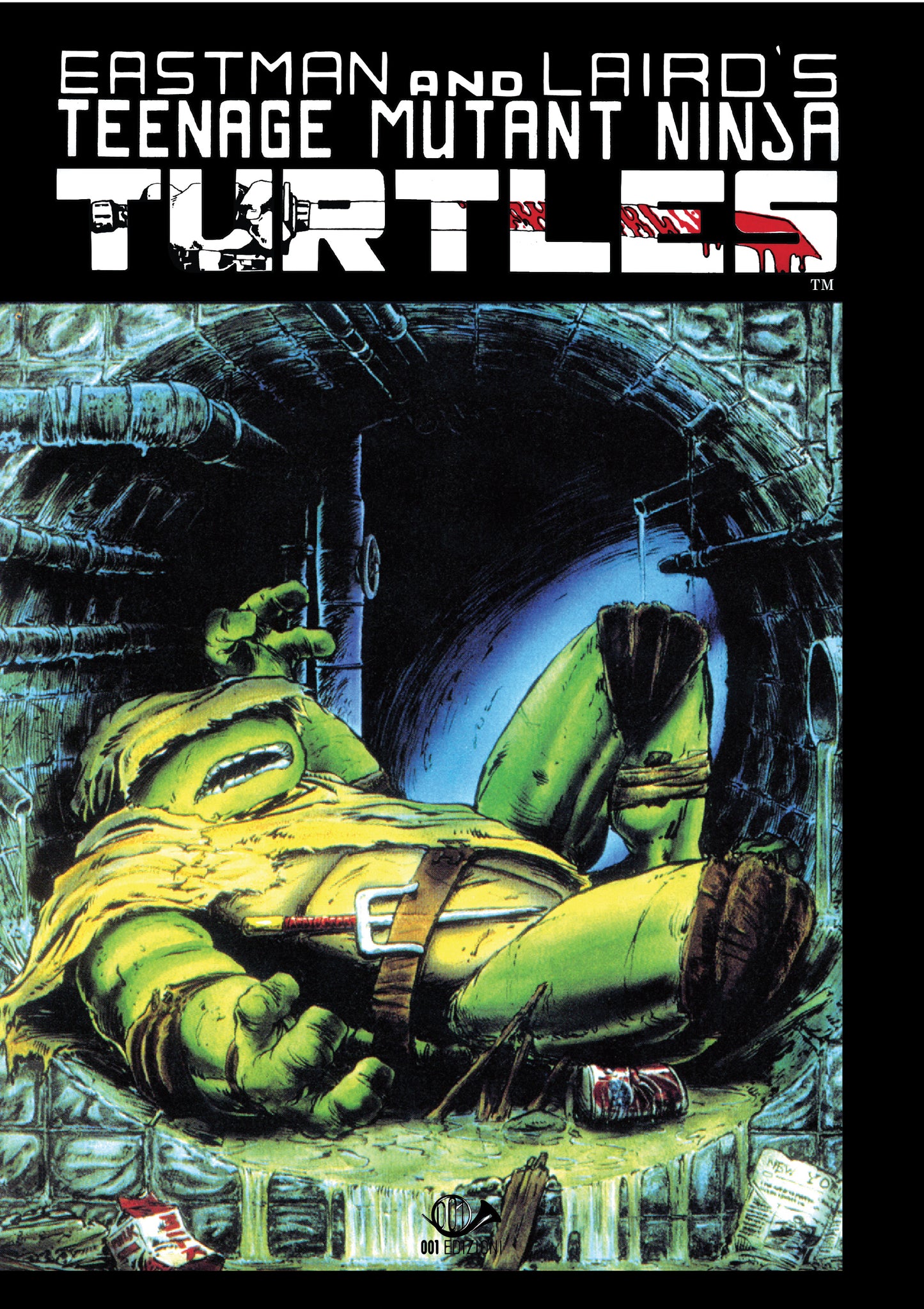TEENAGE MUTANT NINJA TURTLES (001) 4