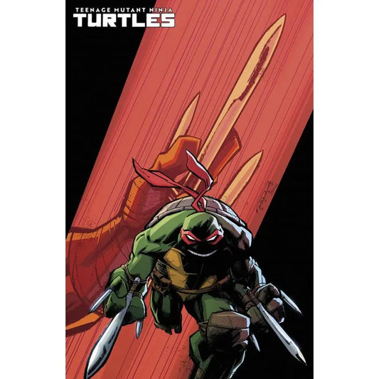 Teenage Mutant Ninja Turtles 10 - variant cover