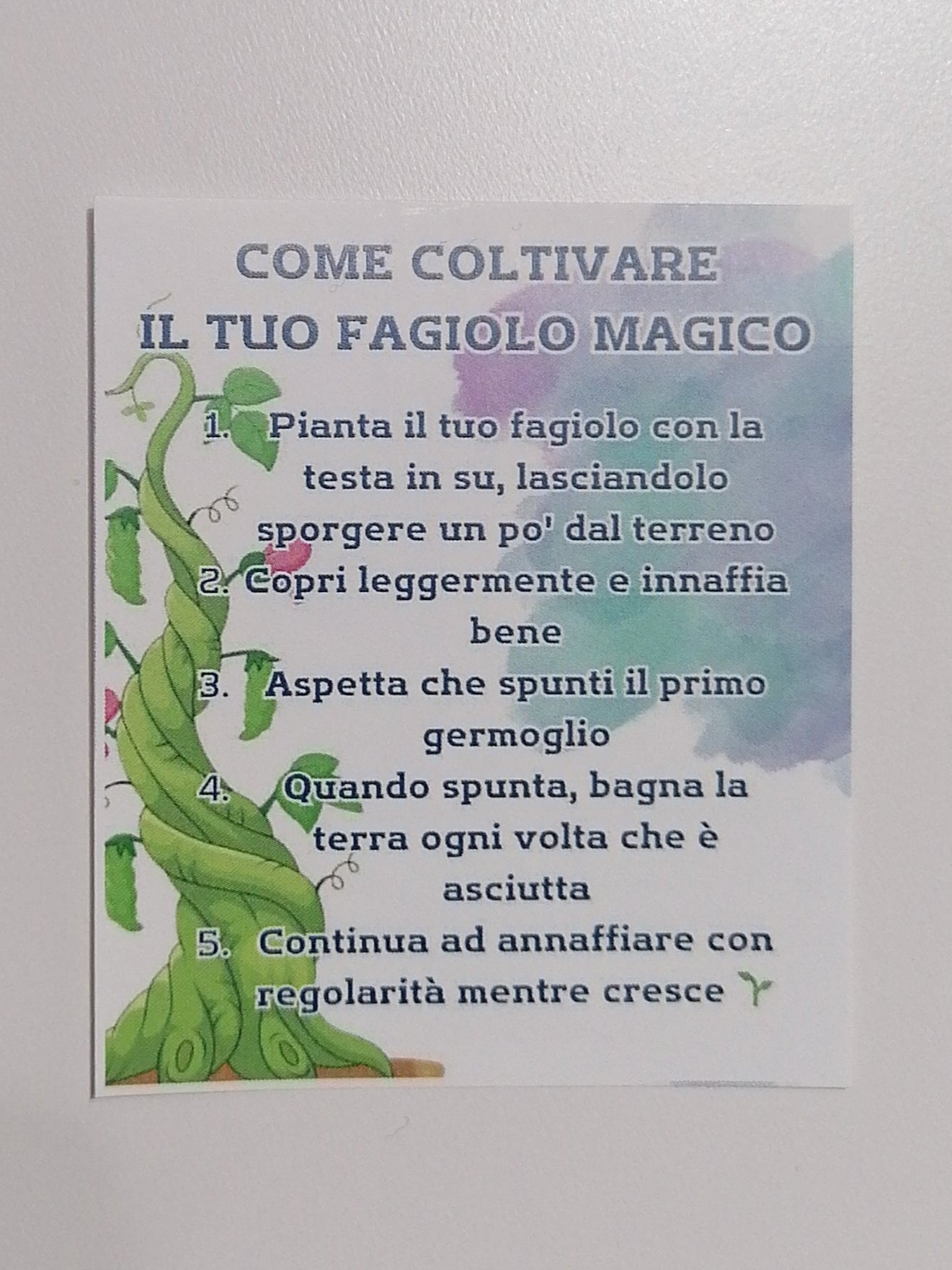 FAGIOLO MAGICO
