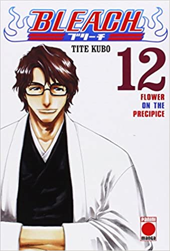 BLEACH 12