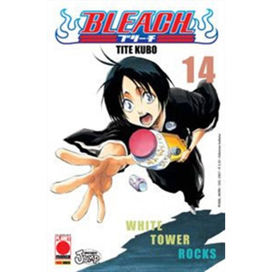 BLEACH 14