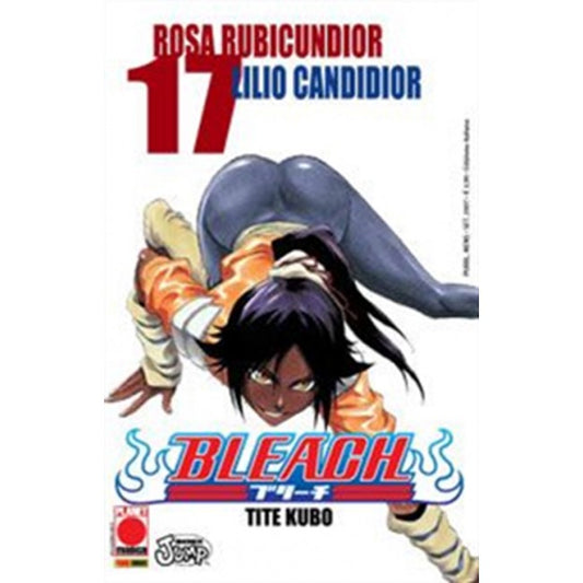 BLEACH 17