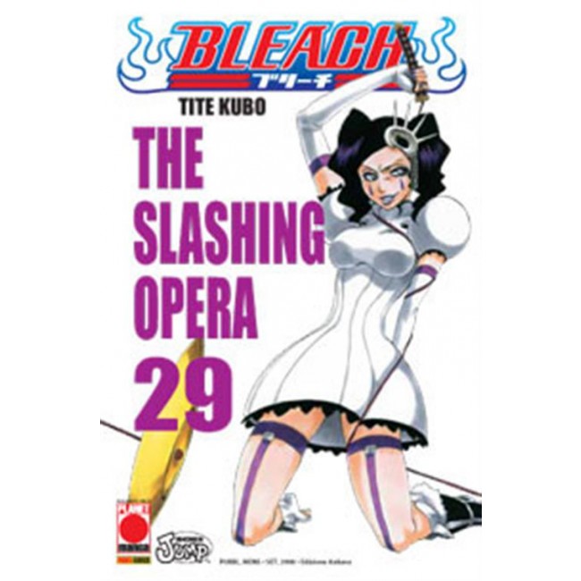 BLEACH 29
