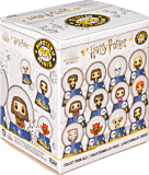 Harry Potter Mystery Mini Snow Globe POP Funko