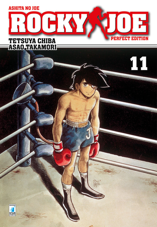 ROCKY JOE PERFECT EDITION 11 (DI 13)