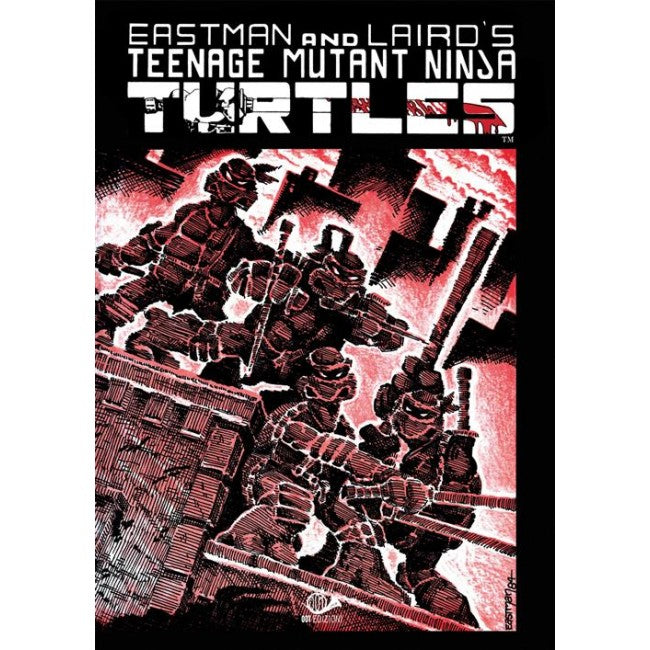 TEENAGE MUTANT NINJA TURTLES 1 - 001 EDIZIONI