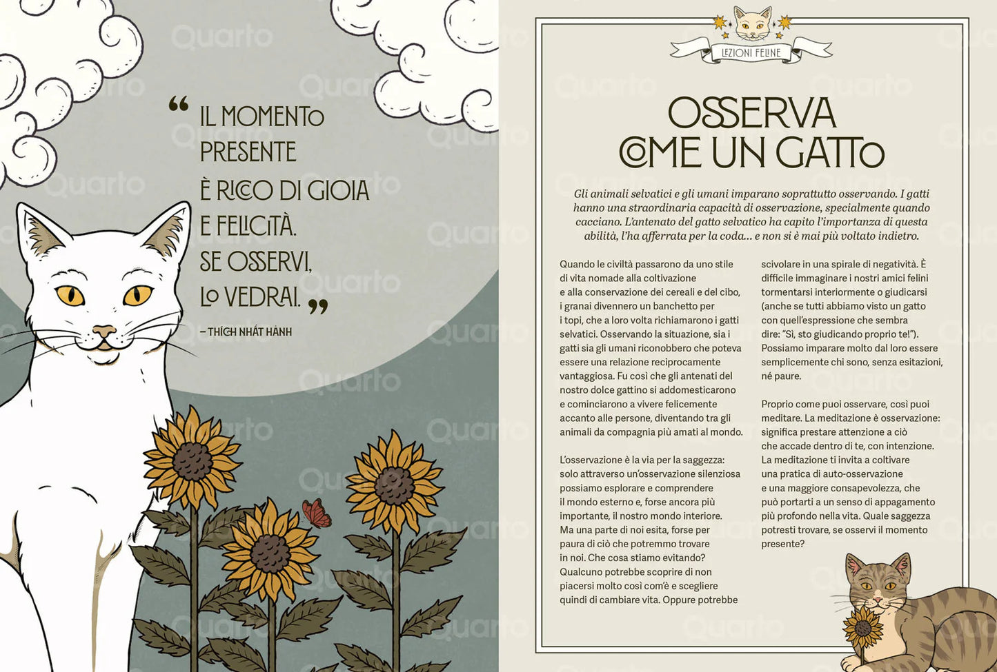 GATTI ZEN - Guida felina alla meditazione