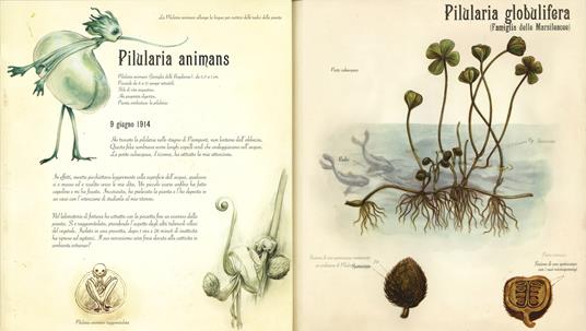 L'erbario delle Fate Edizione Illustrata