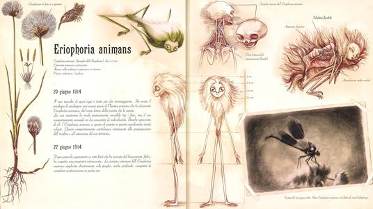 L'erbario delle Fate Edizione Illustrata