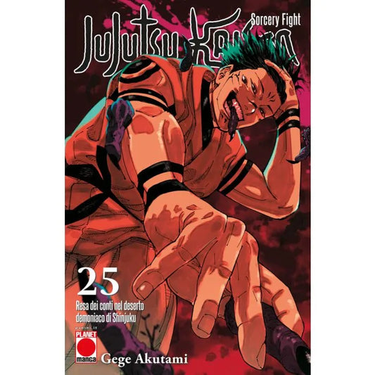 JUJUTSU KAISEN SORCERY FIGHT 25