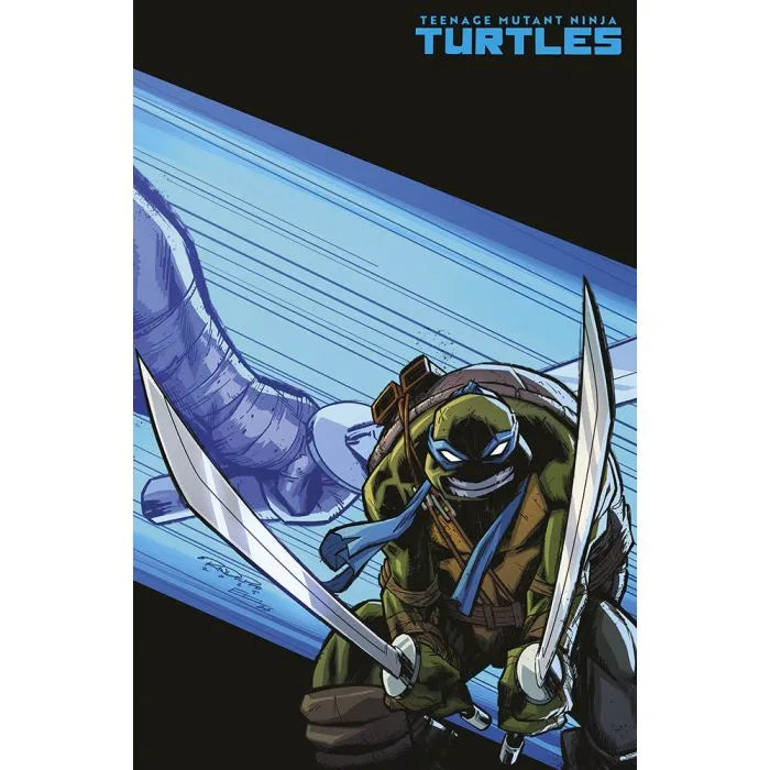 Teenage Mutant Ninja Turtles 6 Variant Cover