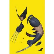 WOLVERINE 1 / 456 (2024) Negative Space Variant