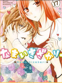 NAMAIKIZAKARI - MA CHE SFACCIATO ! VOL.17