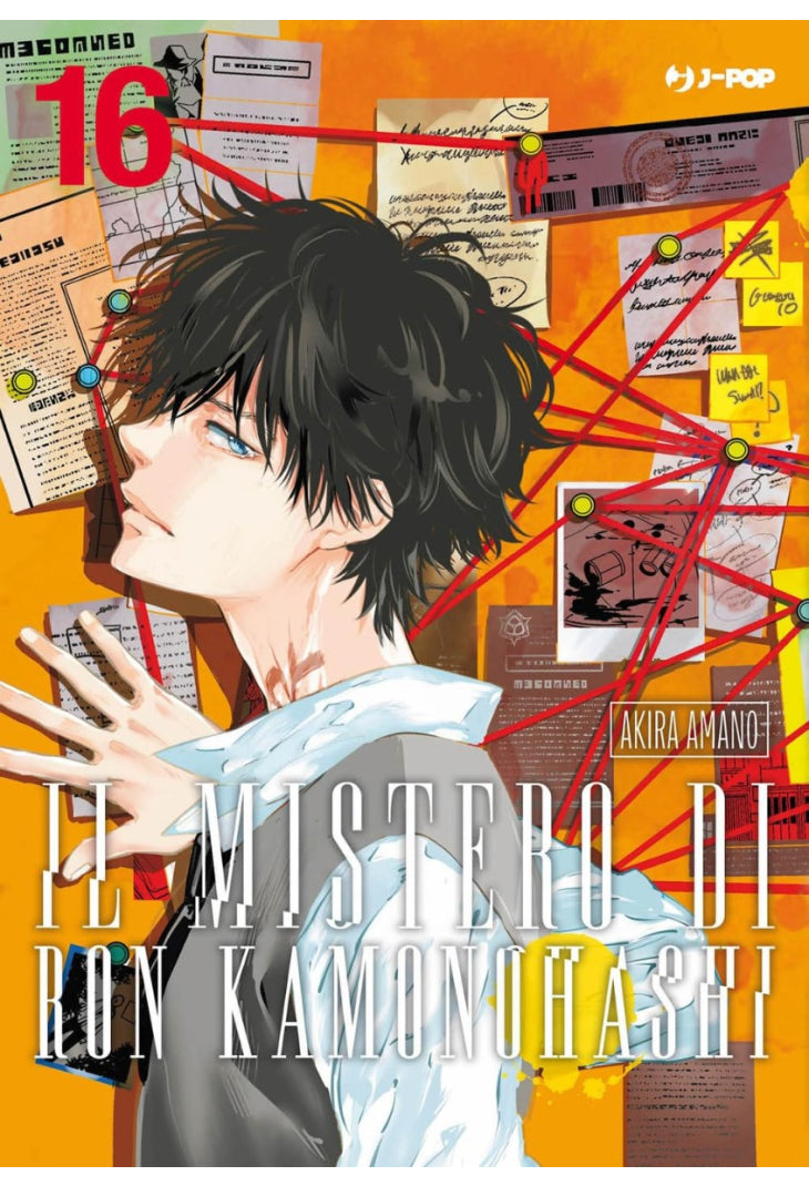 IL MISTERO DI RON KAMONOHASHI 16