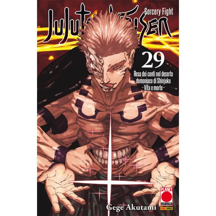 JUJUTSU KAISEN SORCERY FIGHT 29