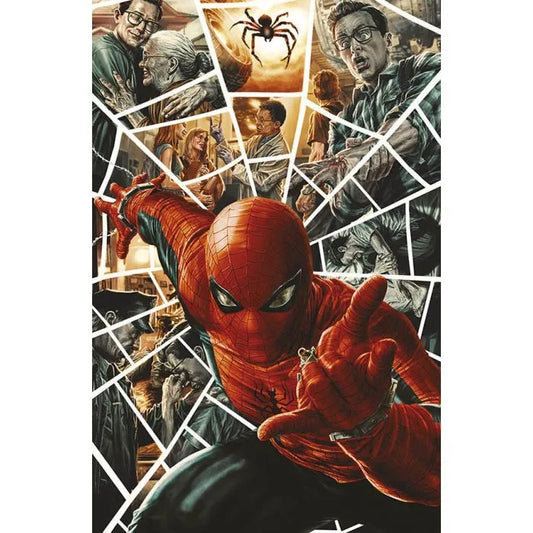 Amazing Spider-Man 10 Variant Cover di Lee Bermejo