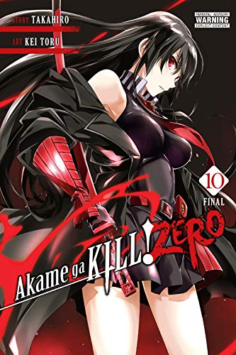 AKAME GA KILL! ZERO 10