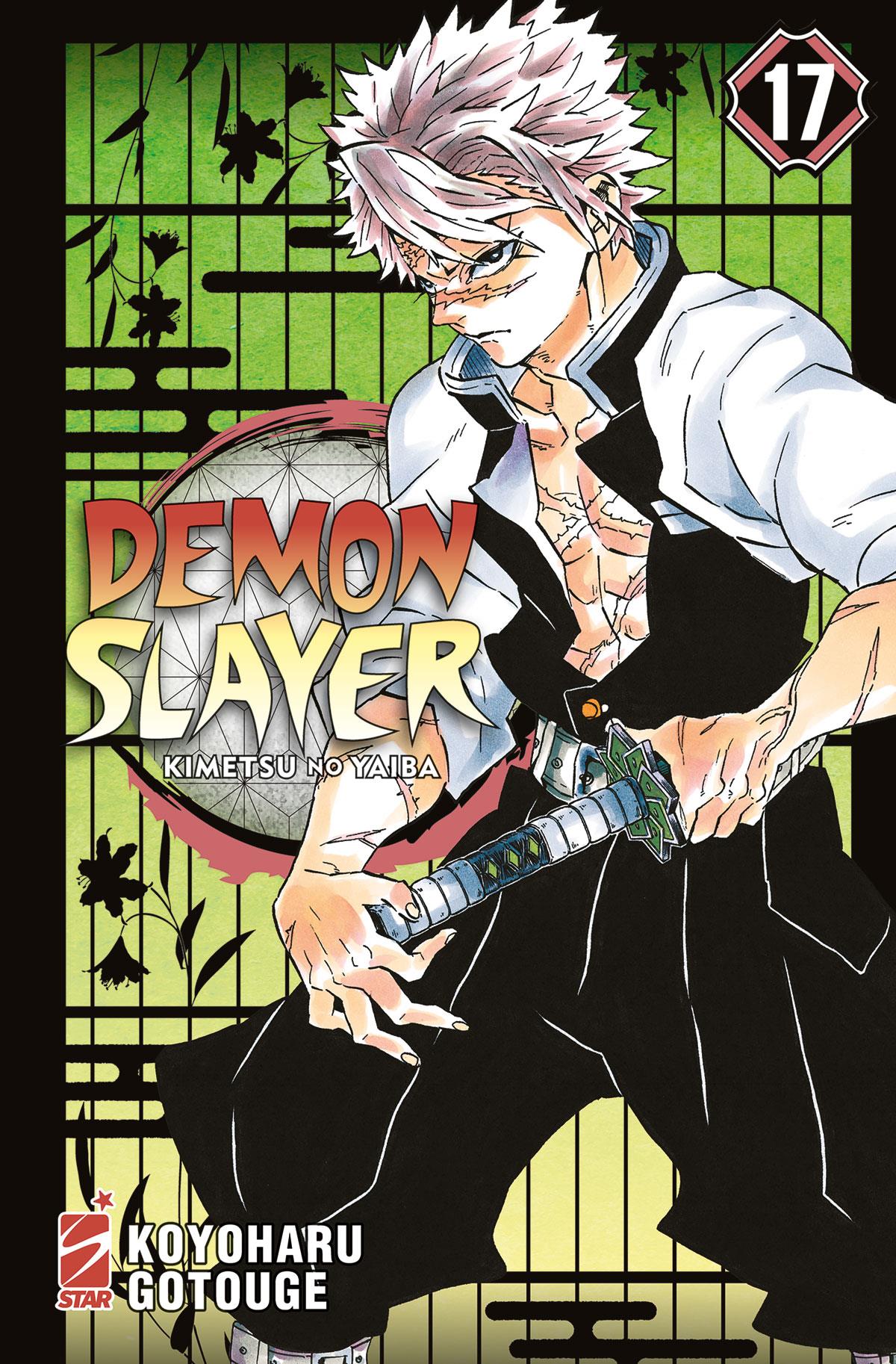 DEMON SLAYER - KIMETSU NO YAIBA 17