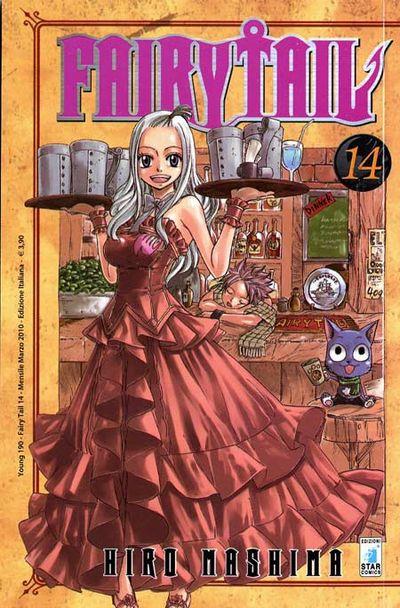 FAIRY TAIL 14