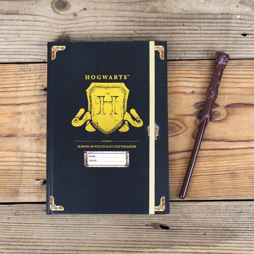 SET AGENDA CON PENNA BACCHETTA HARRY